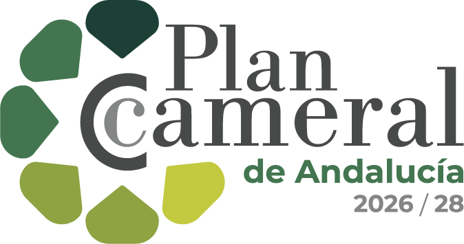 Portal Relevo Generacional